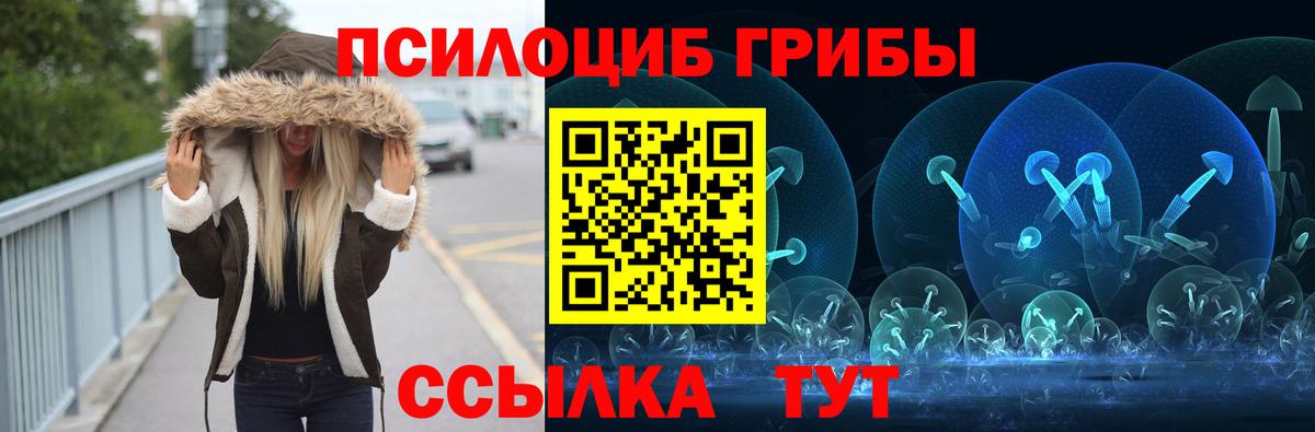 Псилоцибиновые грибы мухоморы  Вход с VPN  Димитровград 